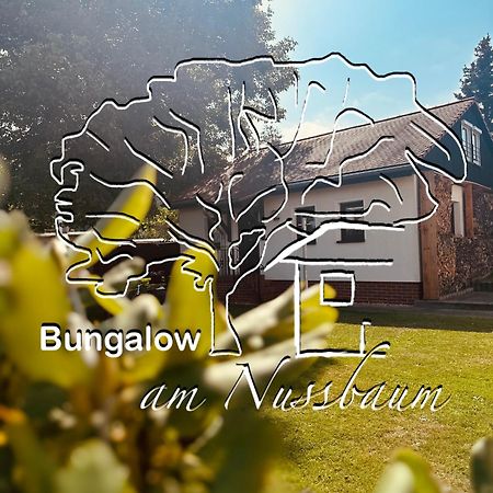 Bungalow Am Nussbaum Olbersdorf Εξωτερικό φωτογραφία