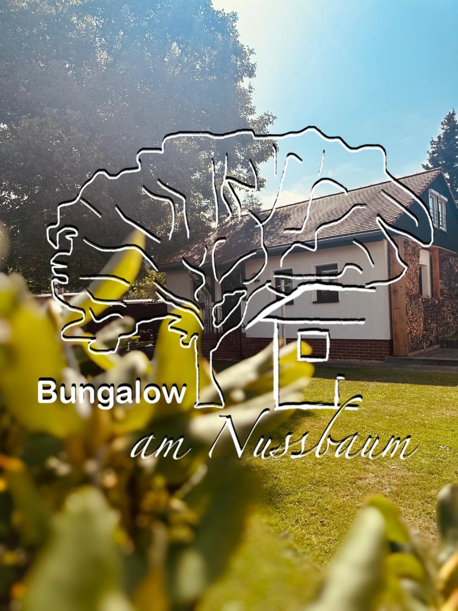 Bungalow Am Nussbaum Olbersdorf Εξωτερικό φωτογραφία